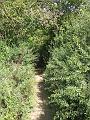 Passerelles 042